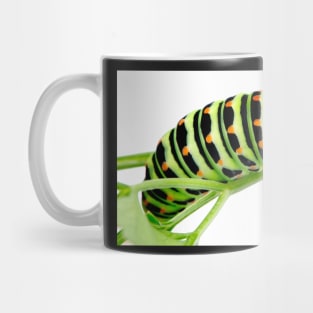 Swallowtail caterpillar Mug